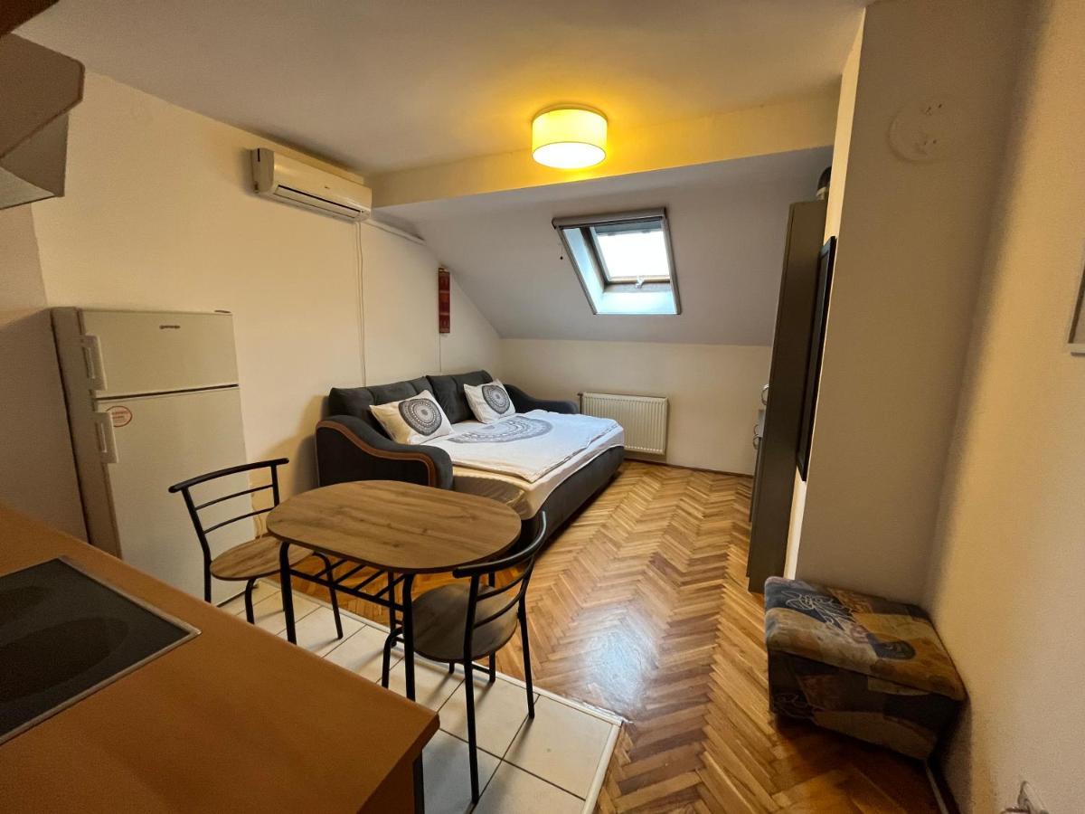 Apartmán Studio In The Centre Of Novi Sad Exteriér fotografie
